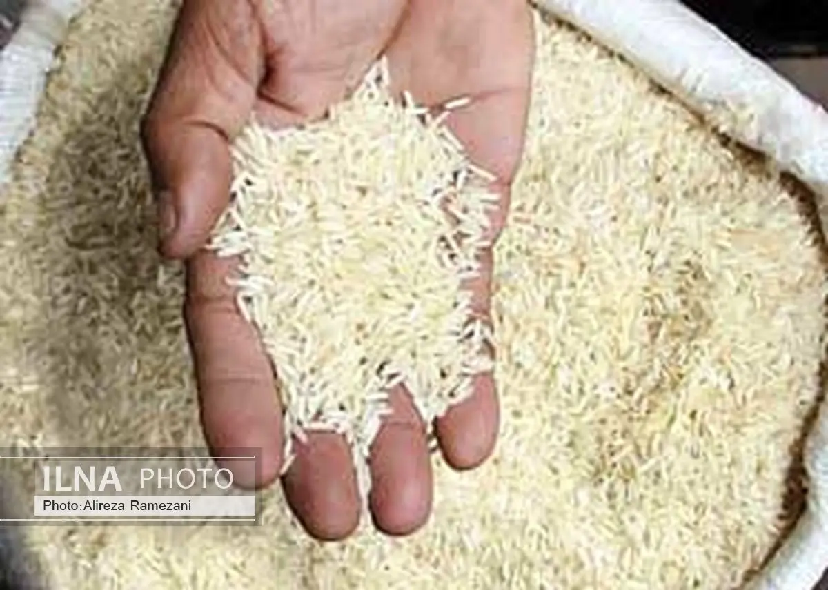 بهای برنج در بازار تهران ؛ طارم اصل 7800 و هاشمی 7900