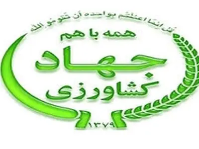 توسعه کشت نشایی سبزی و صیفی در شهرستان فلاورجان