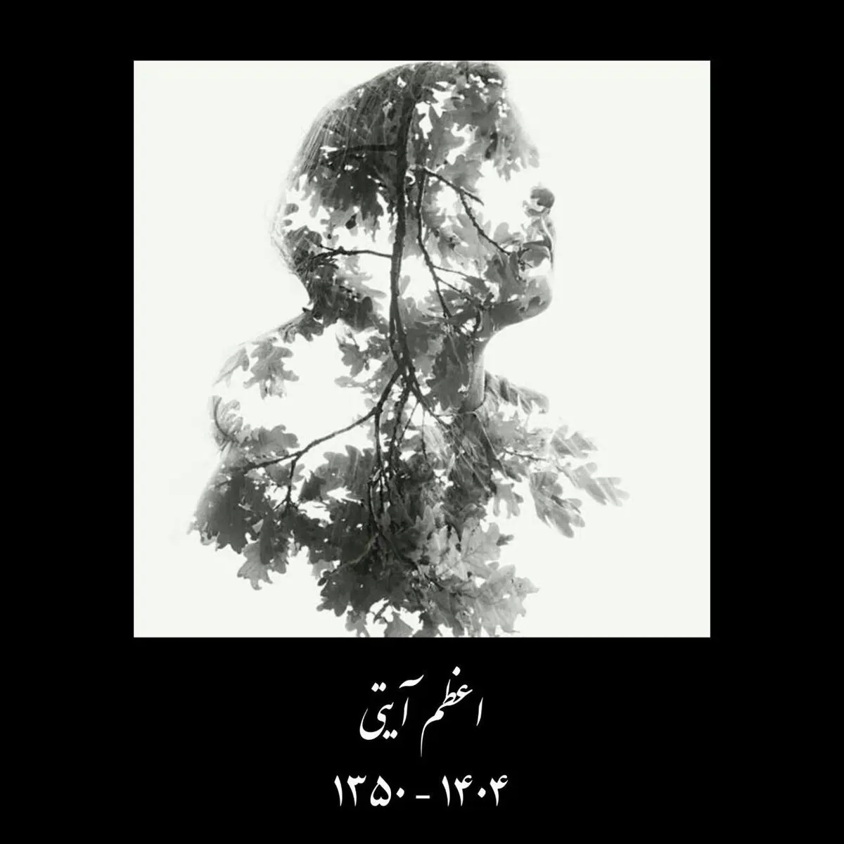  اعظم آیتی نویسنده و منتقد ادبی درگذشت