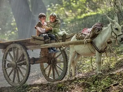 «روماک» در ژانر کودک و نوجوان کلید خورد