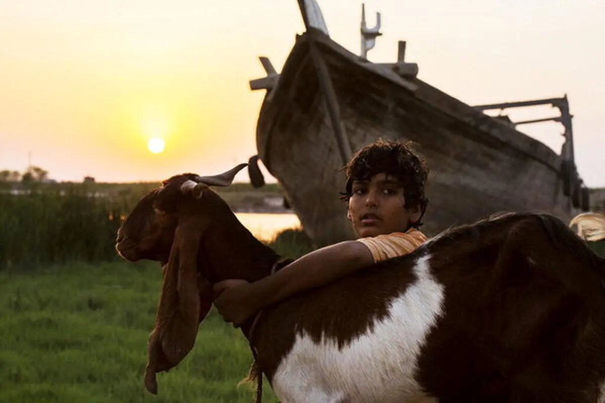 «یدو» پروانه نمایش گرفت/ مجوز اکران برای «گل به خودی» 