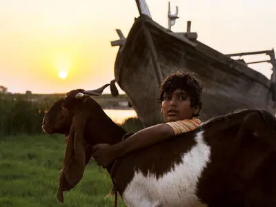 «یدو» پروانه نمایش گرفت/ مجوز اکران برای «گل به خودی» 
