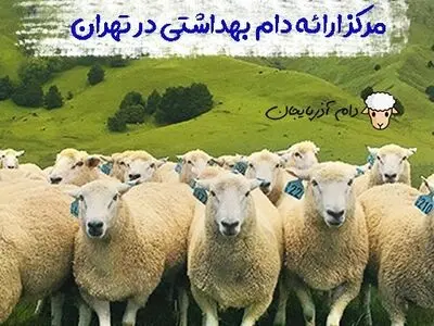 مرکز ارائه دام بهداشتی در تهران