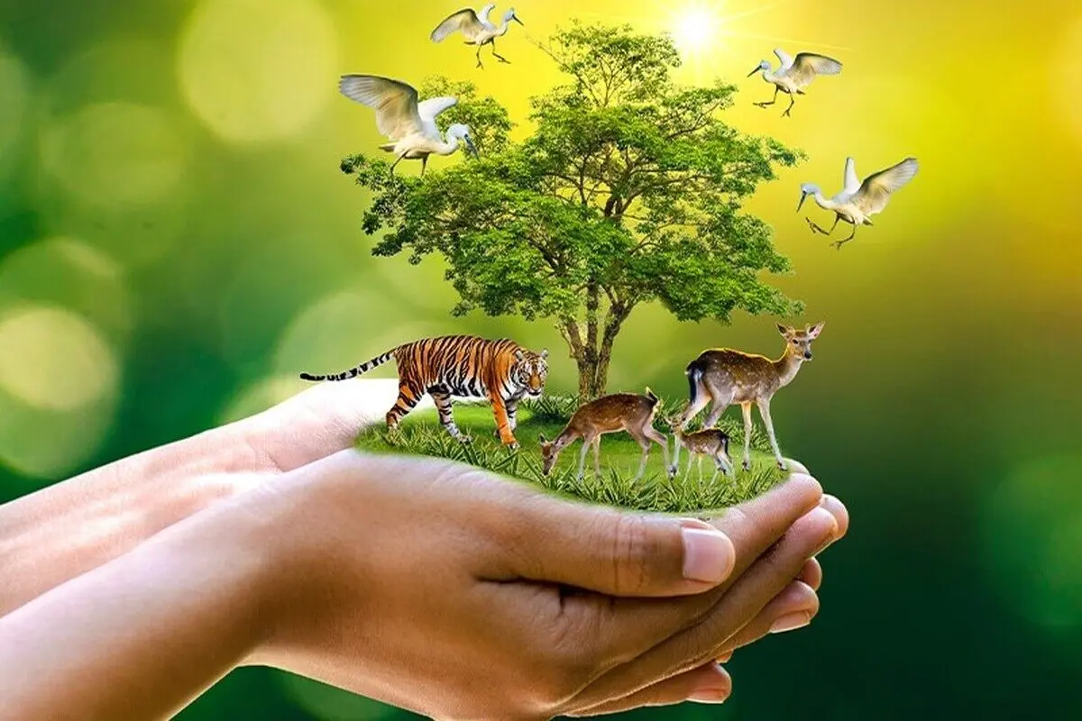 تجهیز محیط بانان تهران در دستور کار