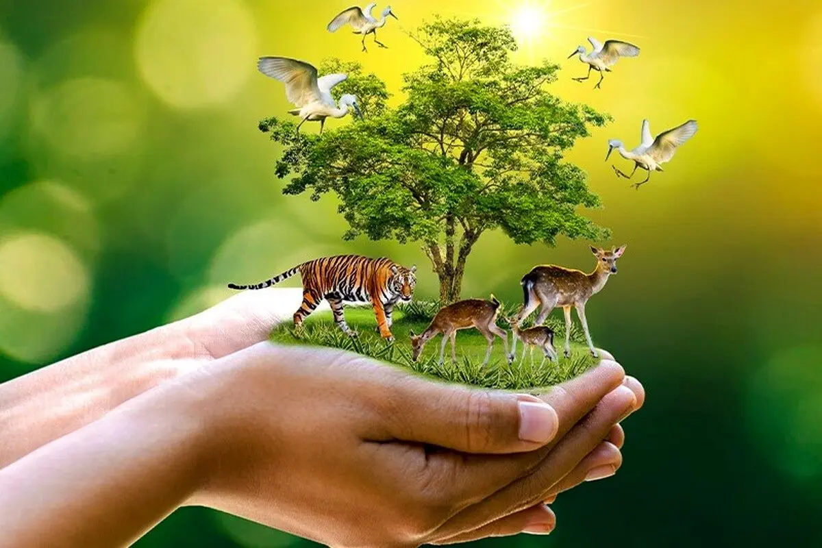 تجهیز محیط بانان تهران در دستور کار