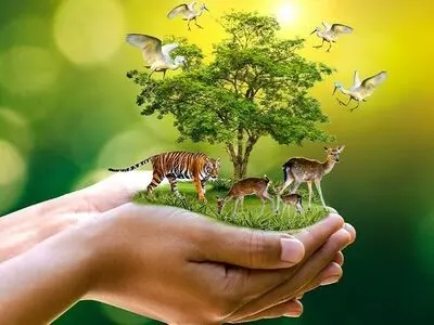 تجهیز محیط بانان تهران در دستور کار
