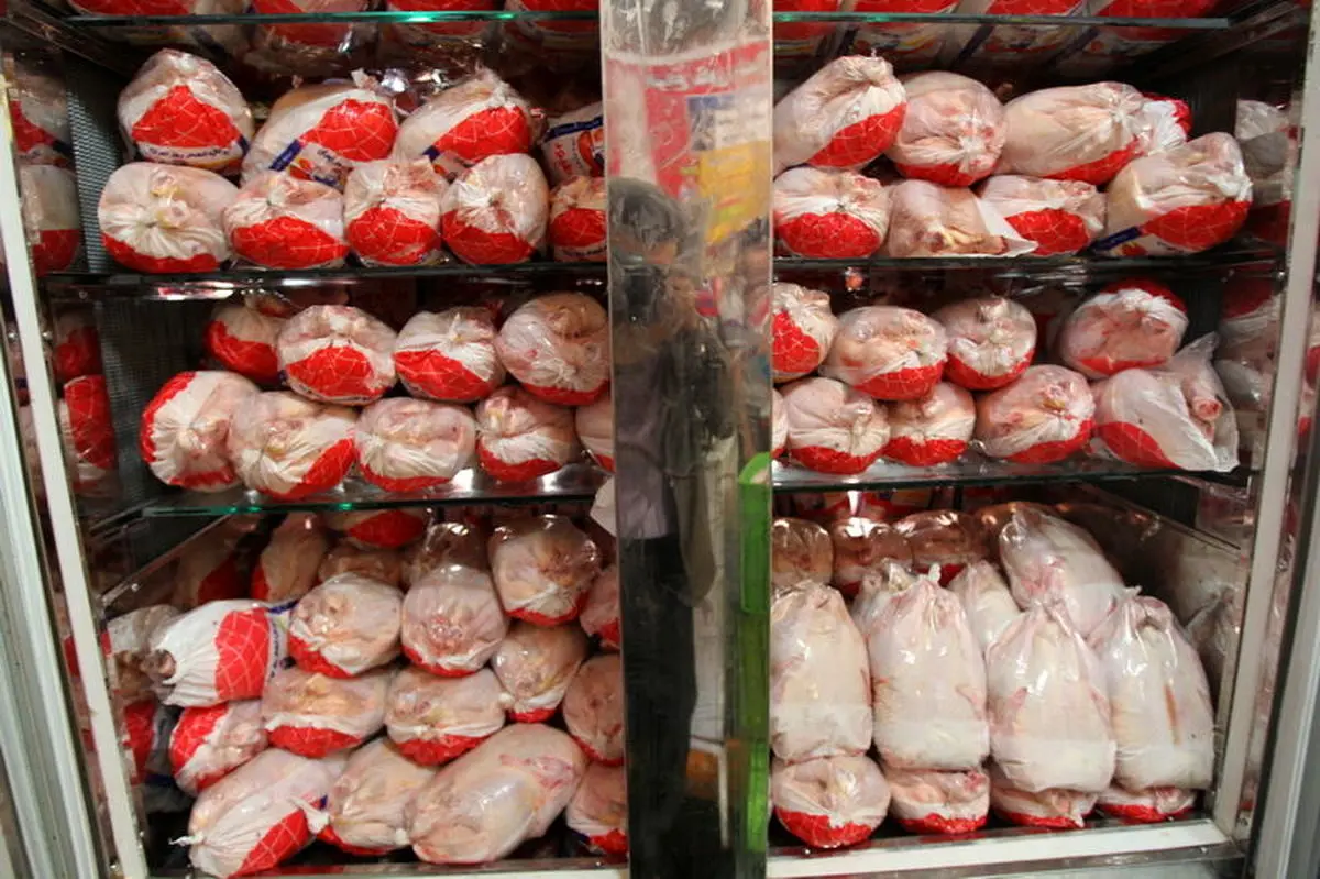 عرضه مرغ در بازار مشهد کمتر از نرخ مصوب است