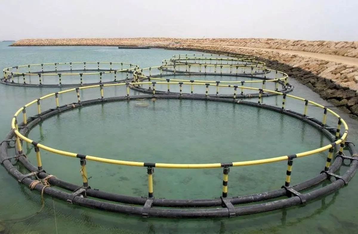 جانمایی سه منطقه برای پرورش ماهی در قفس در خوزستان