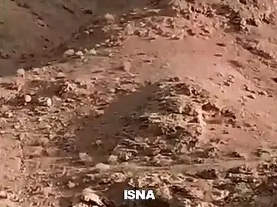 مشاهده دو قلاده یوز در نایبندان خراسان جنوبی بعد از یک دهه + فیلم