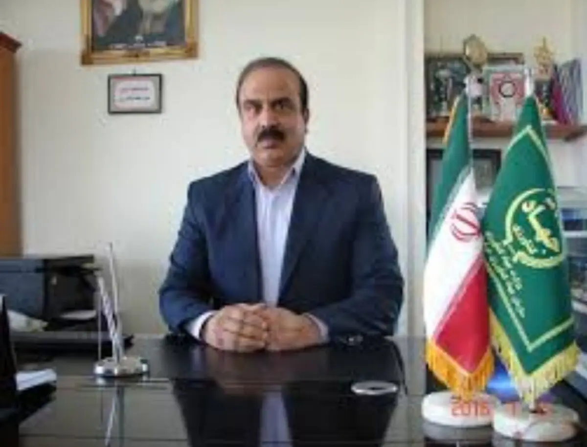 آغاز برداشت زیره سبز از سطح ۵۰۰ هکتار مزارع شهرستان کاشمر    