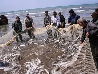 ارتقای سهم تولیدات شیلات به ۱۰ درصد کل تولیدات بخش کشاورزی