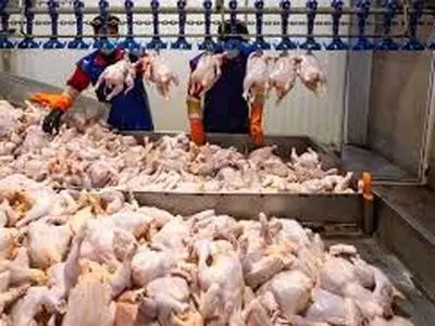 تامین نقدیندگی لازم برای پرداخت تسهیلات به واحدهای تولیدی (دامداری‌ها و مرغداری‌ها) جهت خرید نهاده