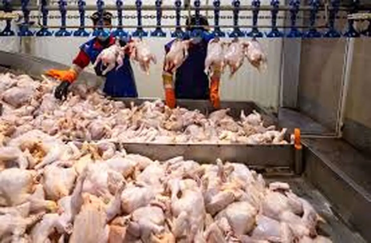 تامین نقدیندگی لازم برای پرداخت تسهیلات به واحدهای تولیدی (دامداری‌ها و مرغداری‌ها) جهت خرید نهاده