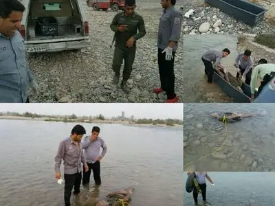 کشف جسد مرد مجهول‌الهویه در رودخانه دزفول
