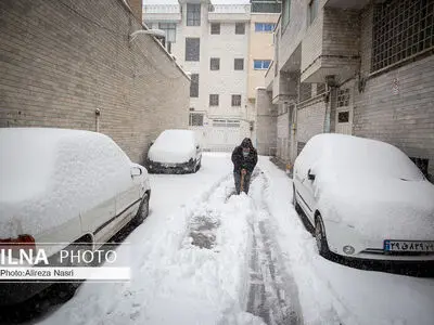 قزوین در آغوش برف