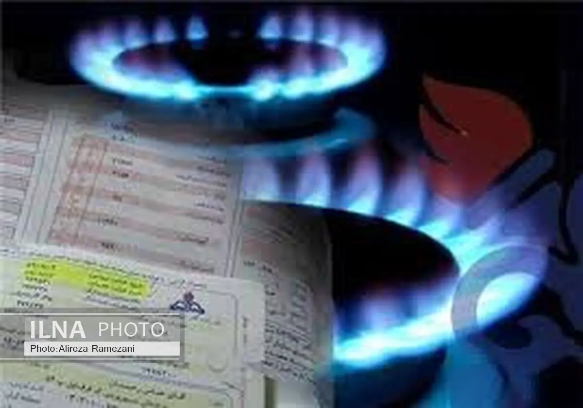 قیمت گاز بخش خانگی امسال افزایش نمی یابد
