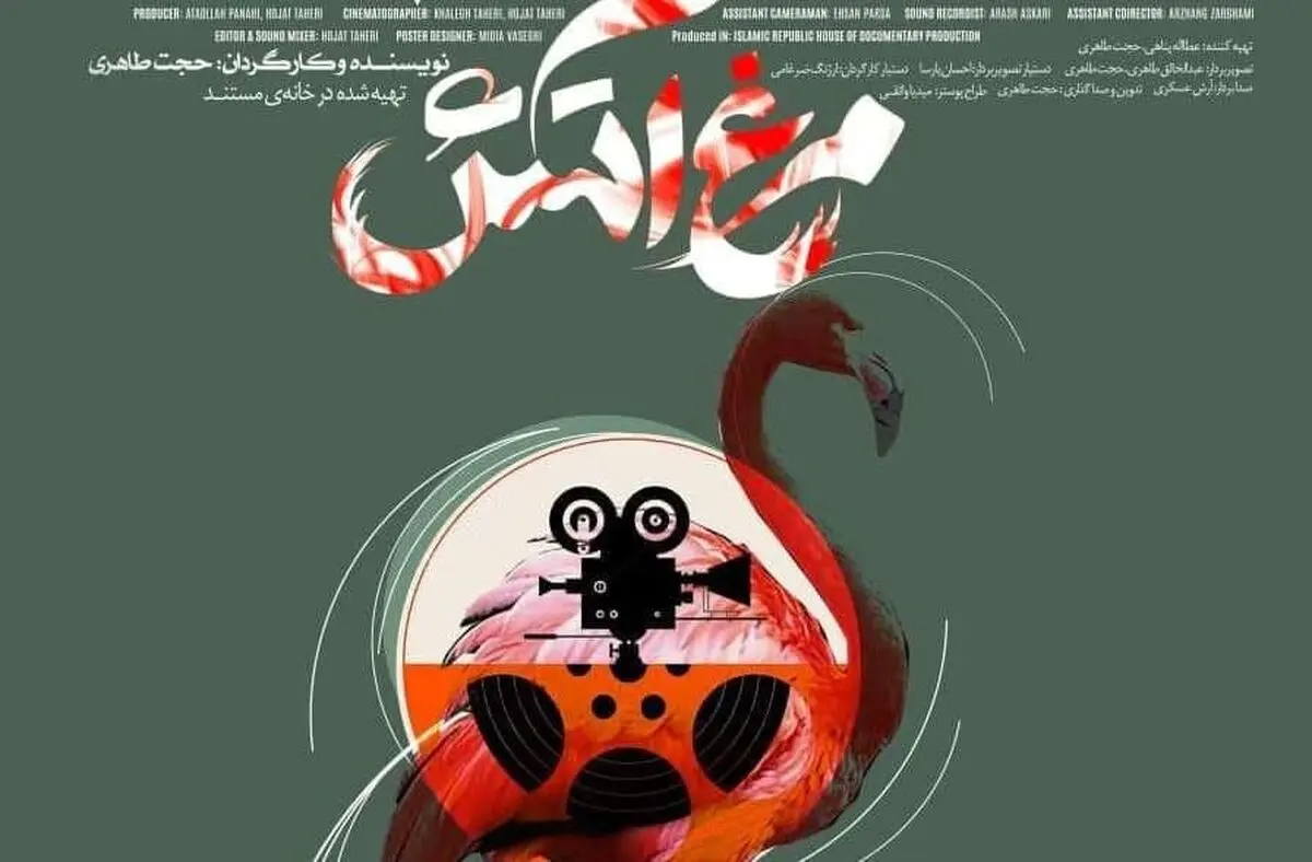 پوستر مستند «مرغ آتش» رونمایی شد