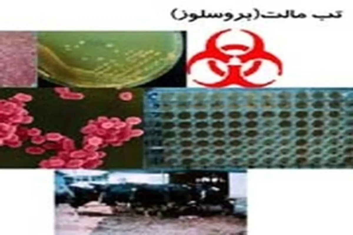 نشست منطقه‌ای تخصصی تب مالت در خرم آباد پایان یافت
