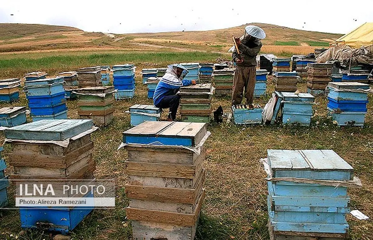 خوی قطب اول تولید عسل در ایران محسوب می‌شود