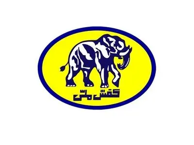 قدردانی کفش ملی از ورود دیوان محاسبات در واگذاری حقوق مالکانه ملک میدان قیام