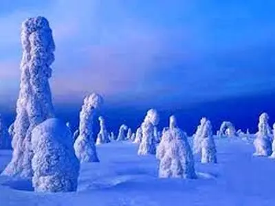 جنگل یخ‌زده فندقلو اردبیل، ۵ اسفند۱۴۰۳ / فیلم