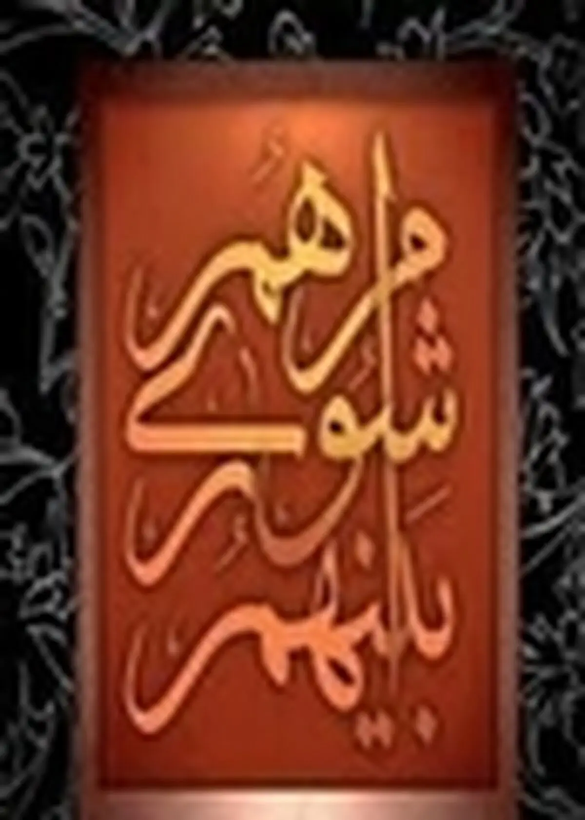 کیومرثاحمدی رئیس شورای شهر صومعه‌سرا شد