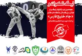 زمان برگزاری دیدارهای هفته ششم و هفتم لیگ برتر تکواندو اعلام شد