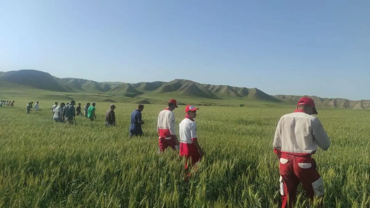 اعزام نیروهای کمکی شرق استان به کلاله برای پافتن کودک گمشده