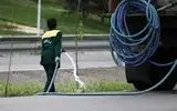 مرگ یک کارگر فضای سبز شهرداری مشهد در حادثه تصادف 
