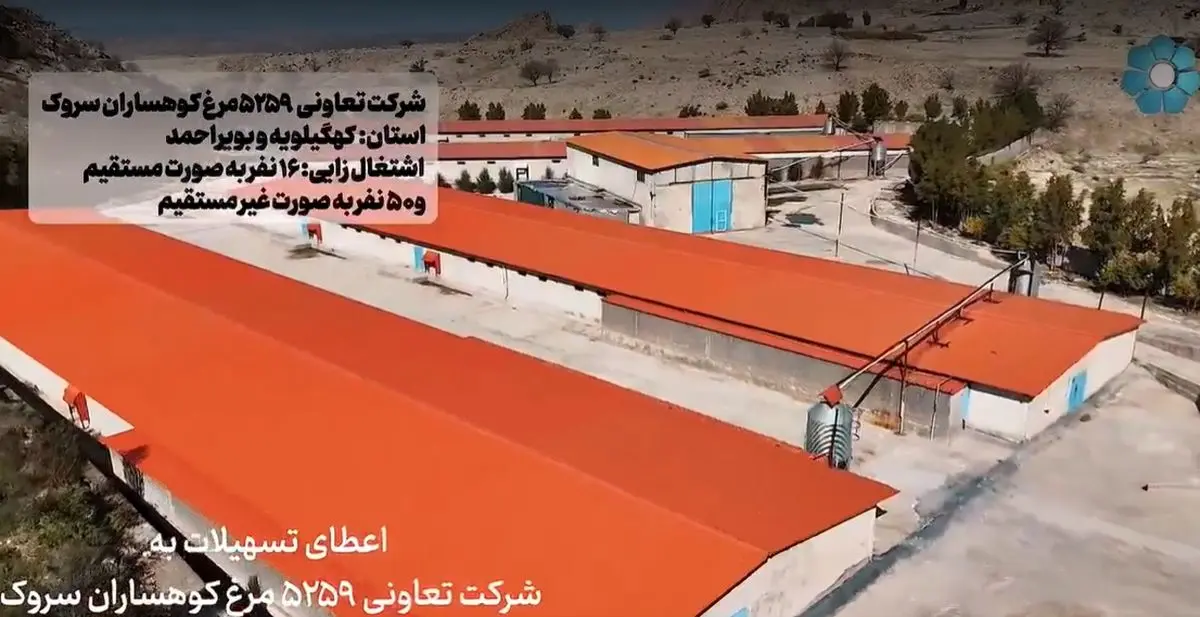 اشتغالزایی و امنیت غذایی؛ دستاورد راهبرد بانک توسعه تعاون در مناطق محروم/ تعاونی‌های طیور؛ پیشگامان تولید پایدار با پشتوانه تسهیلات بانک توسعه تعاون + فیلم