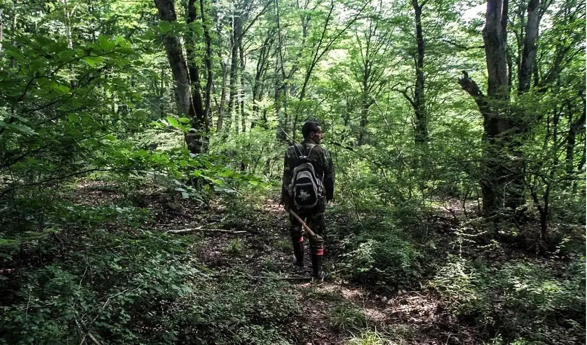 زندگی سخت قرق‌بانان جنگل‌های مازندران با دو ماه حقوق معوقه/ مسئولان ناکارآمد باید کنار بروند