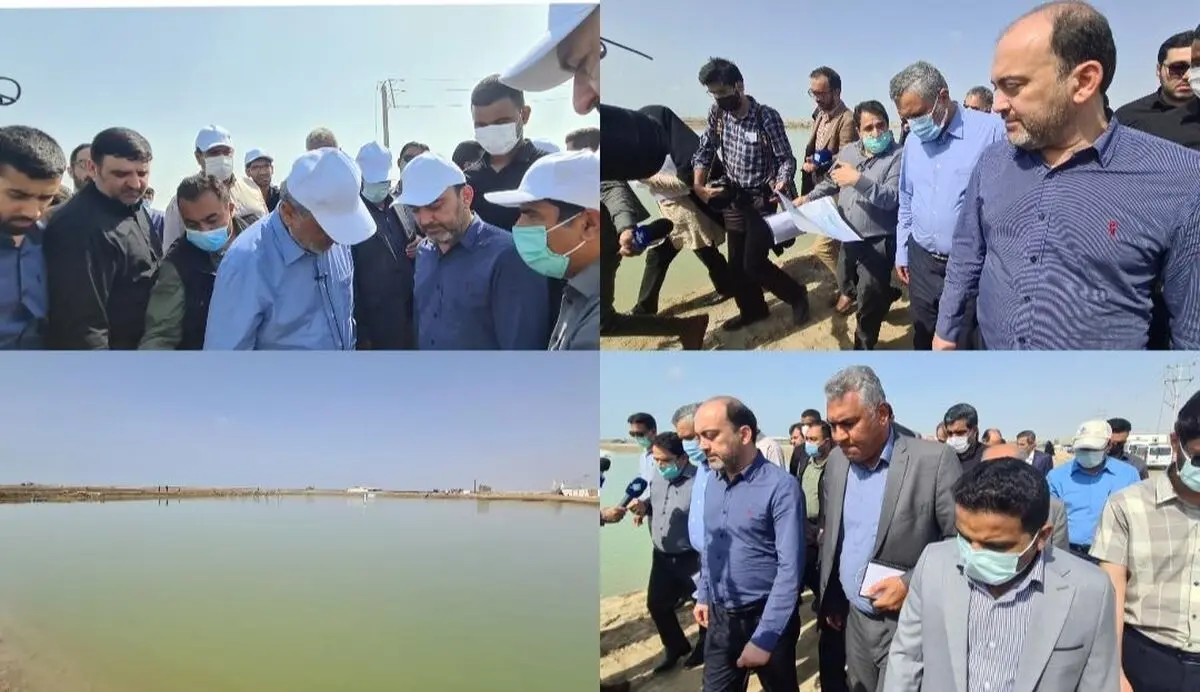 مزارع پرورش میگو  هرمزگان با حمایت دولت برق دار خواهند شد 