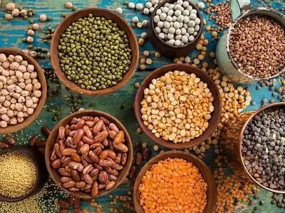 این غذاها بدون کلسترول و سرشار از فیبر هستند