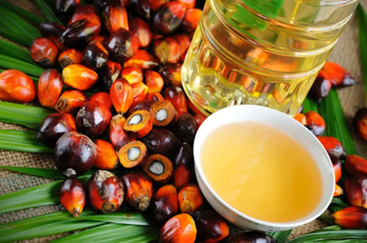 افزایش ۵۶ درصدی واردات روغن پالم تکذیب شد