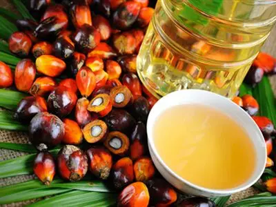 افزایش ۵۶ درصدی واردات روغن پالم تکذیب شد