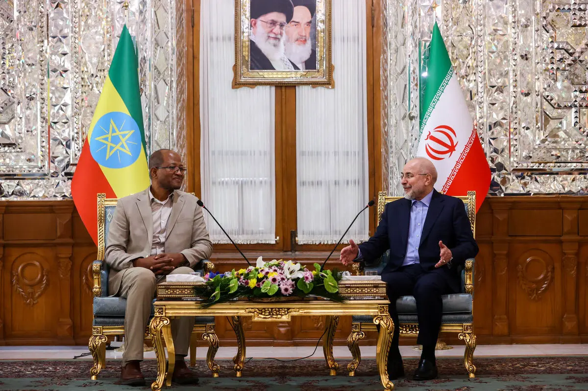تأکید رؤسای مجالس ایران و اتیوپی بر توسعه همکاری‌ها