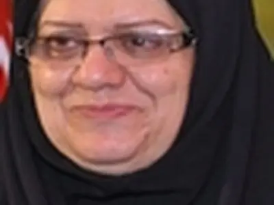 شجاعی: یکسال است با فدراسیون اختلاف دارم / فرهادی زاد گزینه وزارت ورزش است