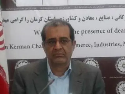 ثبت اولین انجمن اکوتوریسم کشور در کرمان /شهداد بهترین مکان برای مسابقات پاراگلایدر کشور