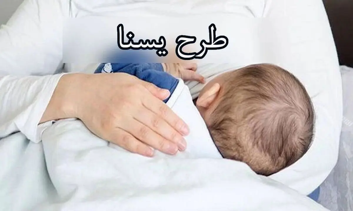 سبد غذایی بیش از ۵۷ هزار مادر باردار در طرح یسنا در استان توزیع می شود