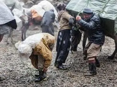 چرا کسی به مرگ کولبران توجه نکرد/استان من پلاسکو ندارد اما مردم از بیکاری رنج می‌برند