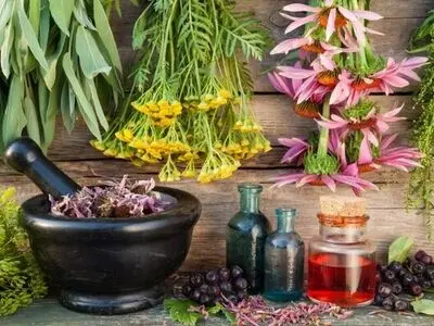 تحقق برنامه‌‌تولید گیاهان دارویی در دیمزارها/ حمایت از تولید با کاهش ریسک تولیدکنندگان