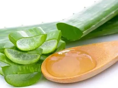 ۶ مورد از خواص عجیب آلوئه‌ورا