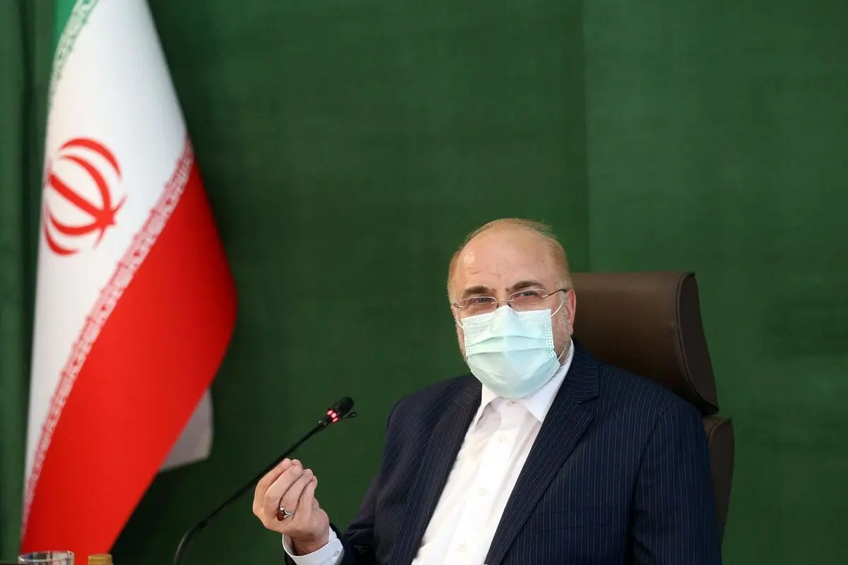 ظرفیت زائران ایرانی اربعین باید افزایش یابد