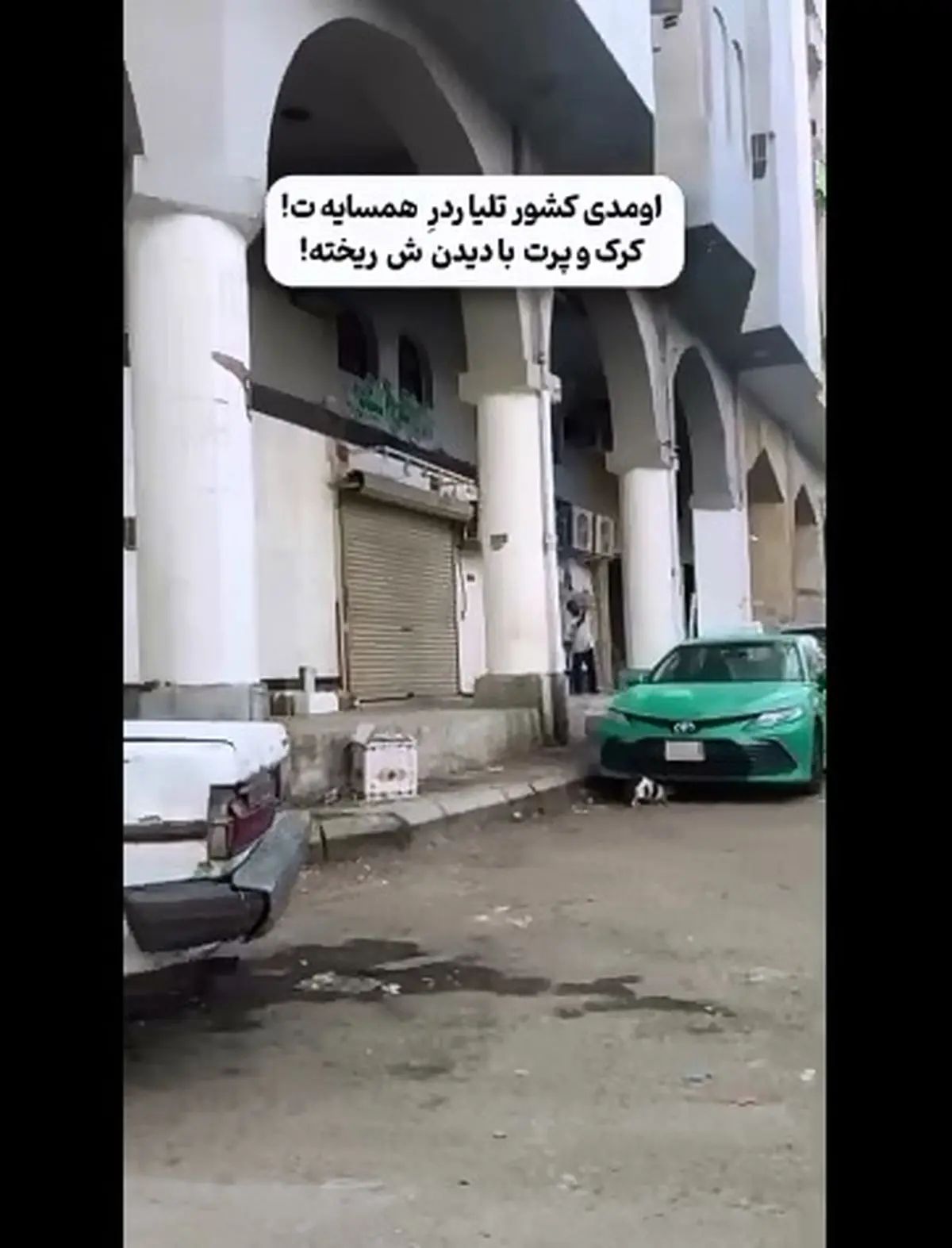 اینجا ریاض عربستان است؛ محل کار و زندگی عربستانی‌ها + فیلم