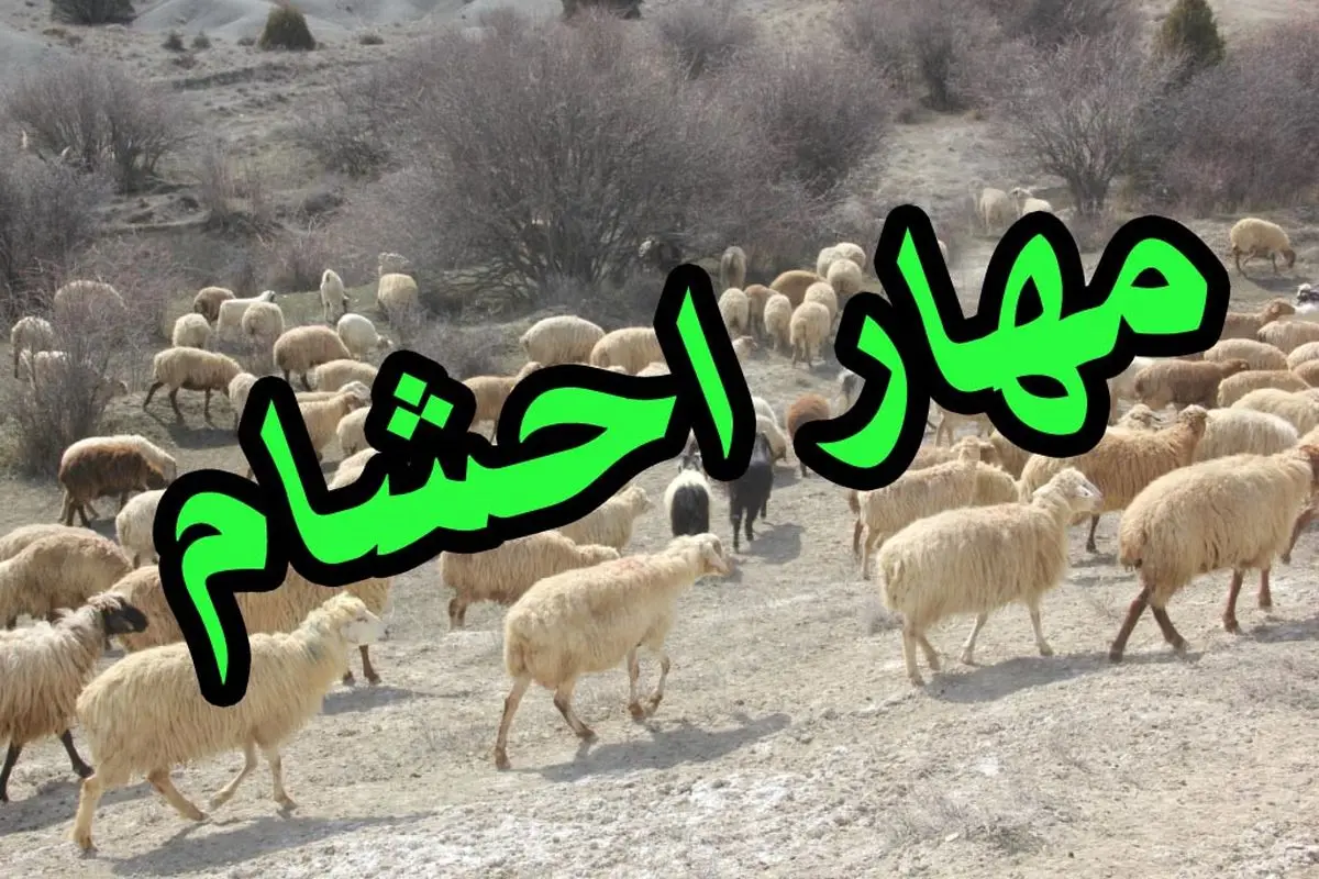مهار دام‌های قاچاق در مرز بانه