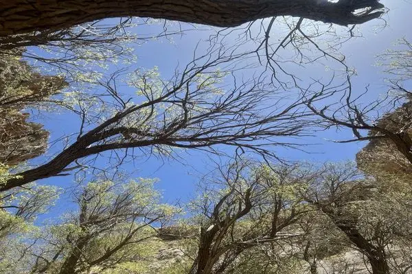 هم‌زیستی زمین، آب ، خاک و مردم معنا‌بخش یک سرزمین‌ هستند