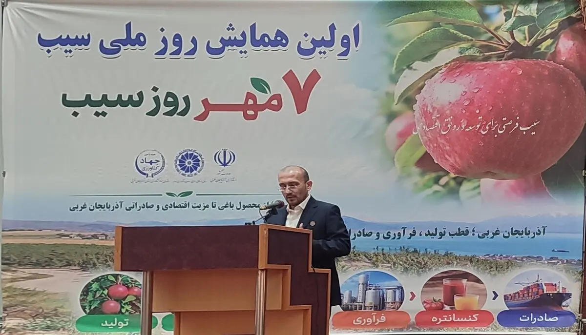 ۹۰۰ هزار تن سیب ایرانی در خطر از دست رفتن بازارهای صادراتی/ سالانه ۴ میلیون تن سیب در کشور تولید می‌شود