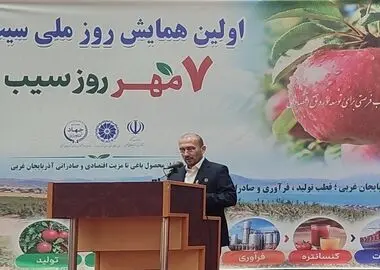 ۹۰۰ هزار تن سیب ایرانی در خطر از دست رفتن بازارهای صادراتی/ سالانه ۴ میلیون تن سیب در کشور تولید می‌شود