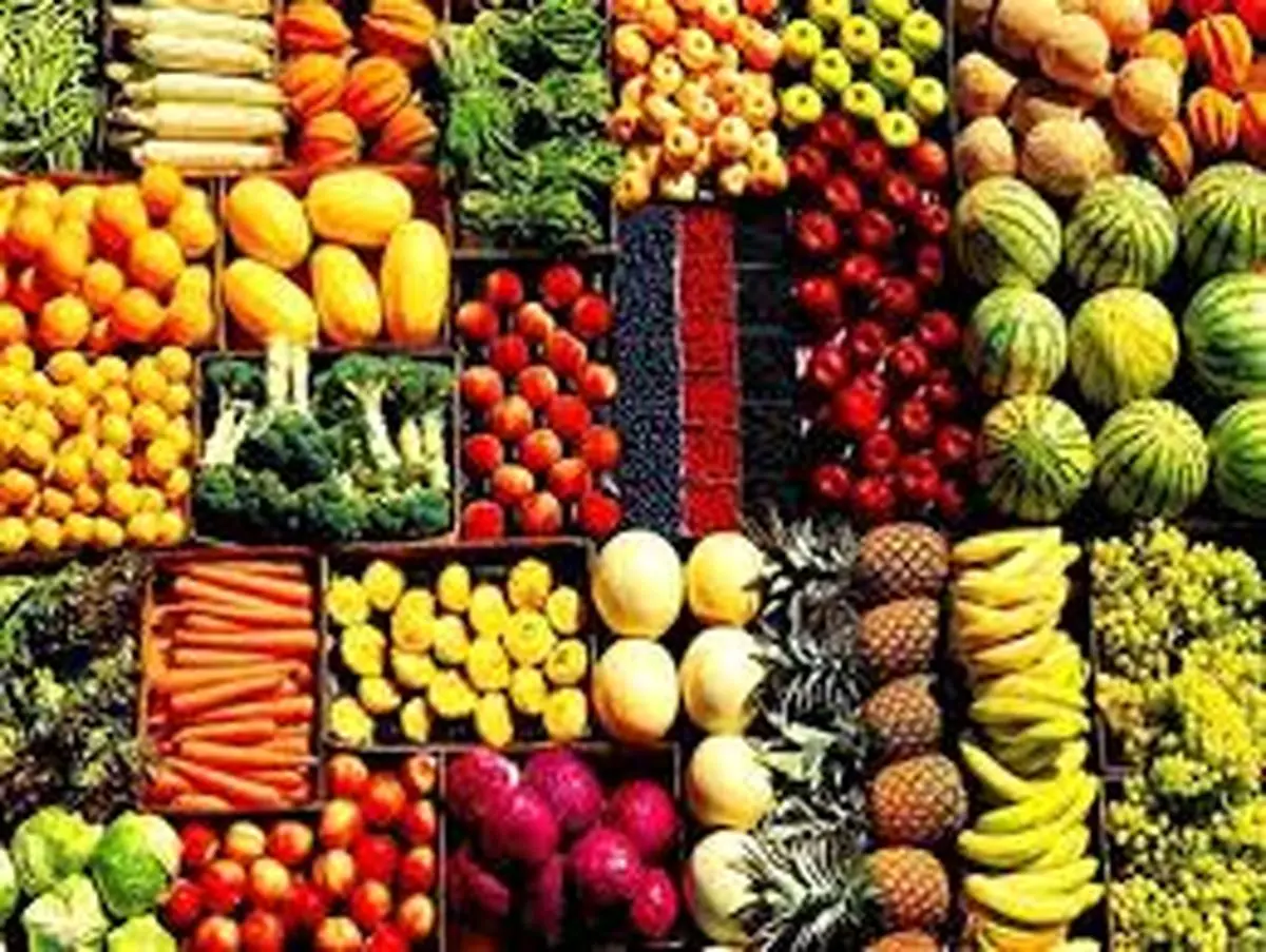 آغاز توزیع میوه تنظیم بازار شب عید در زنجان