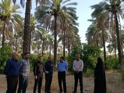 توسعه تحقیقات کشاورزی در جهرم با تمرکز بر تولید دانش فنی
